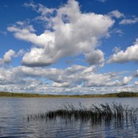 свежее дыхание осени. :: Дмитрий Цымбалист