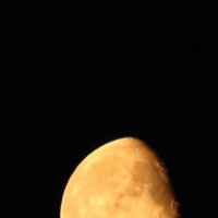 луна снята ночью :: гульсина 