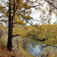 Осенний пейзаж. :: Наталья Юрова