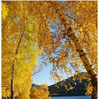 Осень в Хакасии :: MaOla ***