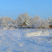 Подморозило... :: Евгений Турков