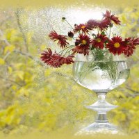 Красные хризантемы :: Надежда Пелымская 