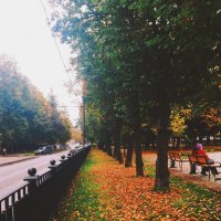 Осенняя аллея :: Yana S