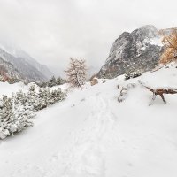 Первый снег в криволесье :: Photo-tur.ru 