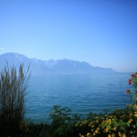 Lac Léman (Серия) :: Veronika Chernyshova