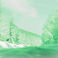 Зима в зелени :: Наталья Оркина