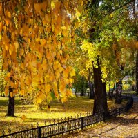 Осенний парк :: Павел Сухоребриков
