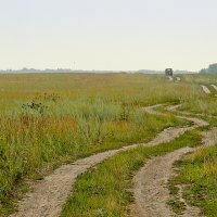 как  по асфальту :: Владимир Синицын