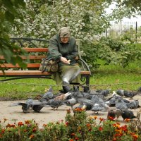 Твори добро :: Мила Данковцева