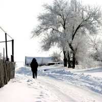 Зимний путешественник :: Светлана Ропина