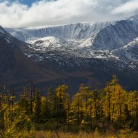 Переход осени в зиму. :: Вадим Лячиков