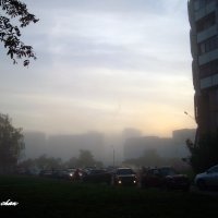 В тумане :: Алёна Naru-chan