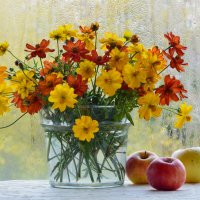 Желтые цветы :: Надежда Пелымская 