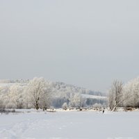 Зима №1 :: Александр Кошкарёв