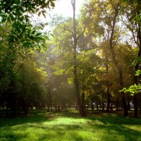 Осень в парке :: Галина Брюховецкая