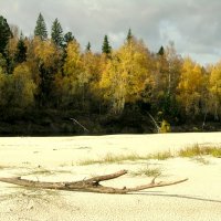 Осень на реке :: Valeriy Somonov