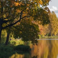 Царское село. Софийский бульвар. :: Наталия Шишкина