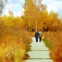 В каждом нашем дне есть что-то прекрасное :: Ксения Веселова