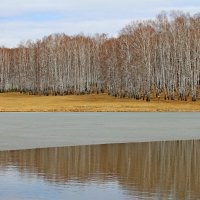 Последняя полоска льда. :: Татьяна Перегудова 