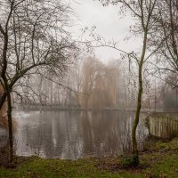 В дымке туманной :: Николай Гирш