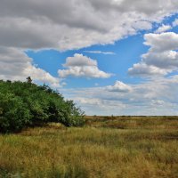 Время замирает там, где красота касается Души. :: Восковых Анна Васильевна 