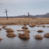 *** :: Валерий Михмель 