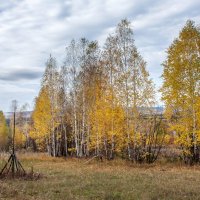 Осенний лес. :: Алексей Трухин