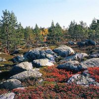 Сентябрь на морском берегу :: Сергей Курников