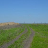 Новочеркасск. Дорога в пойме реки Аксай. :: Пётр Чернега