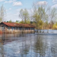 Потоп :: Василий Королёв