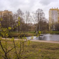 Воронцовский сквер :: Роман Алексеев