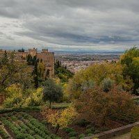 Alhambra 10 :: Arturs Ancans