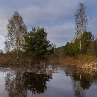 Утреннее отражение. :: Виктор Евстратов