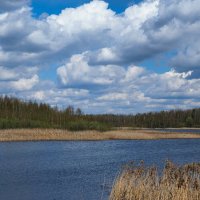 Моя Смоленщина (из поездок по области). :: Милешкин Владимир Алексеевич 