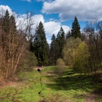 Весна в усадьбе Середниково. :: Владимир Безбородов