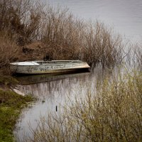 На берегу Днепра :: Александр 