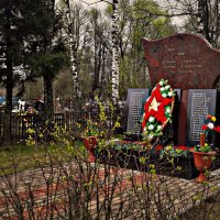 Памятник павшим сельчанам :: Любовь 