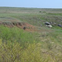 Фото выстрел....Парит сорока,на степной речкой. :: Георгиевич 