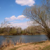 Весна на озере :: владимир тимошенко 