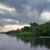 Плавни Днепра :: Татьяна Ларионова