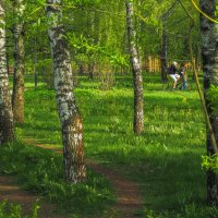 В Весеннем Парке :: юрий поляков