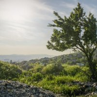 Мефодиевка(Новороссийск) :: Иван Лебедев