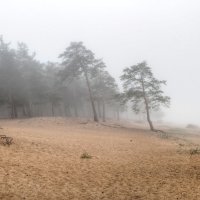 Туман :: Cергей Кочнев