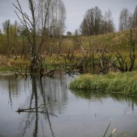 Весна :: Александр 