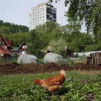 Десятиэтажка :: Валерий Михмель 