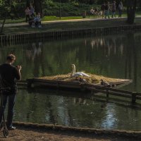 В Весеннем Парке :: юрий поляков