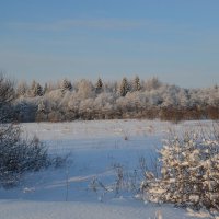 МОЯ ДЕРЕВНЯ, окрестности. :: Виктор Осипчук