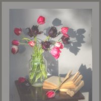 Тюльпаны на закате :: Римма Нефёдова