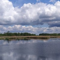 Облака над Ипутью :: Надежда Буранова 