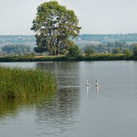озеро с птичками. :: Фотокритикулька 